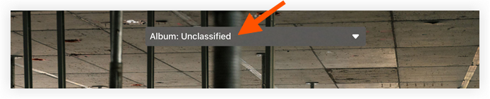 2023-12-05_Selecting Album for Photo in iOS.png